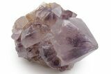 Cactus Quartz (Amethyst) Crystal - South Africa #220011-1